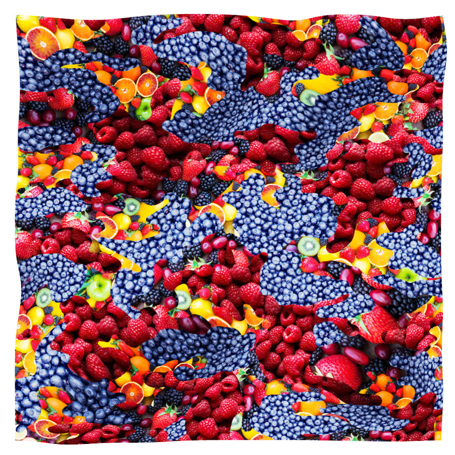 scarf frutta mirtilli