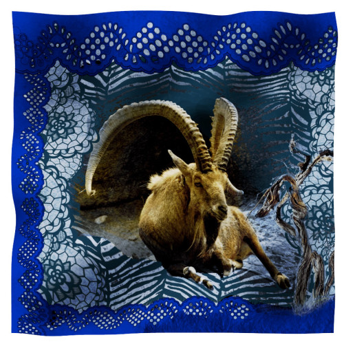 scarf stambecco blu
