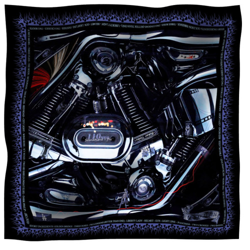 scarf hidden 2
